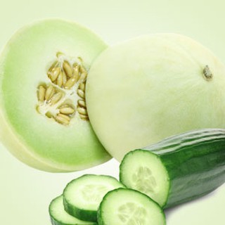 หัวน้ำหอม cucumber melon 000165  ไม่เร่งเทรซ