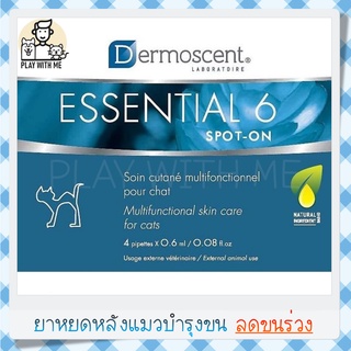 ✅พร้อมส่ง✅ Dermoscent Essential 6 Cat spot-on ยาหยดหลัง บำรุงผิวในแมว 1กล่อง บรรจุ 4หลอด ใช้ดีจริงบอกต่อ