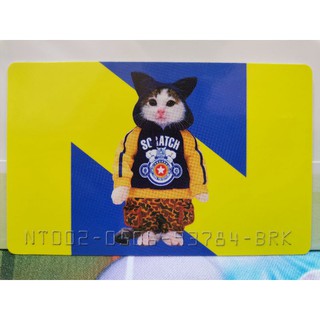 Nameneko Japanese Cat Card Rare by Satoru Tsuda 1980s ชุดที่ 06