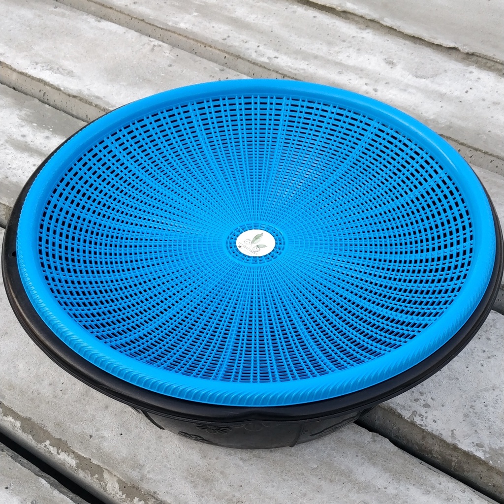 ชุดเลี้ยงด้วงสาคู กะละมัง  พร้อม ฝาปิด เพื่อการเลี้ยงด้วงสาคู ในกะละมังแบบง่ายๆ - รูปที่ 4