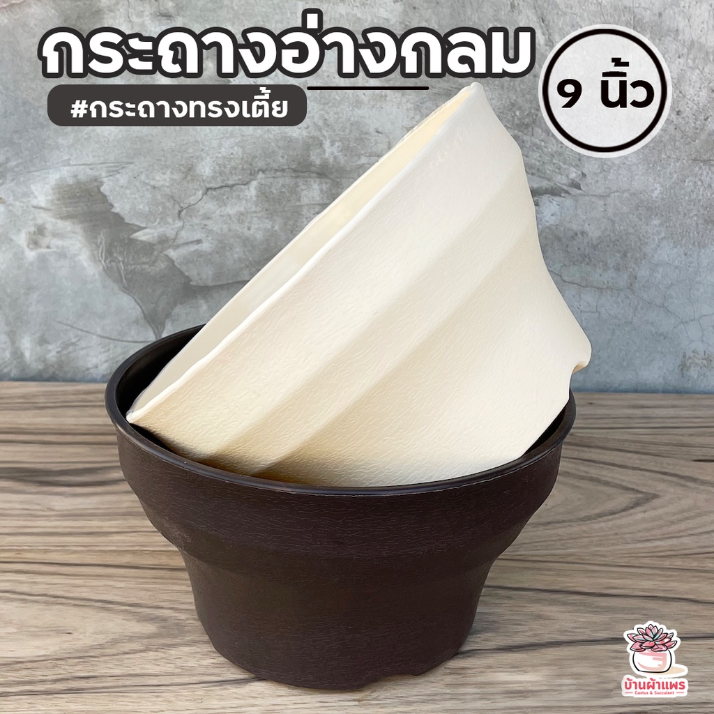 กระถางอ่างกลม 9 นิ้ว กระถางพลาสติก แคคตัส กระบองเพชร ไม้อวบน้ำ Cactus&Succulent