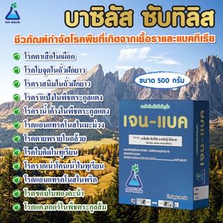 บาซิลลัส  ซับทิลิส (เจนแบค) ขนาด 500 กรัม สายพันธุ์ บีเอ็ม-01 จาก ทีเอบี Bacillus subtilis # BM-01 # 500 gram by TAB