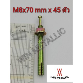 พุกตะปู MR เบอร์ M8x70 mm แพ็คกล่อง จำนวน 45 ตัว