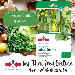 GGEW เมล็ดพันธุ์ ซฟ แตงกวาสปีดแม็ก 70 เมล็ด ตราศรแดง