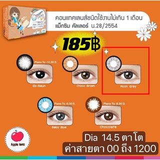 MAXIM Contact Lens  ตาโต สีเทา Moon Gray  DIA 14.5 คอนแทคเลนส์สี (กล่องส้ม)