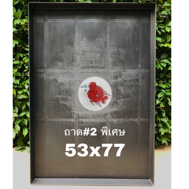 ถาด ถาดรองกรง สุนัข แมว นก ถาดรองกรง เบอร์0 ขนาด 70x107ซม. ทำจากพลาสติกแข็งอย่างดี สีดำ ล้างทำความสะอาดง่าย ทนทาน