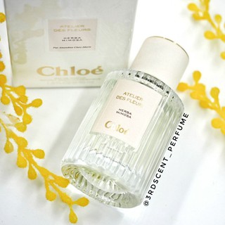 Chloe - Herba Mimosa แบ่งขาย (Atelier des Fleurs)