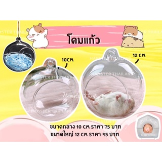 💖Hamsterthailand💖 พร้อมส่ง‼️ โดมแก้ว ใส บ้านสัตว์เลี้ยง แฮมสเตอร์ เม่นแคระ