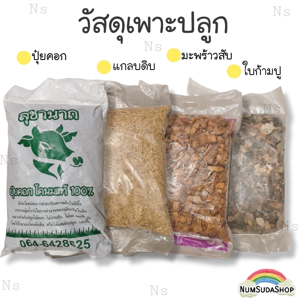 กาบมะพร้าวสับ แกลบดิบ มูลขี้วัวนม ฟางข้าว ใบก้ามปูแห้ง วัสดุเพาะปลูก ต้นไม้