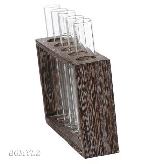 [HOMYL2] Test Tube Glass Vase Hydroponic Vase Wooden Frame Tabletop Vase Stand