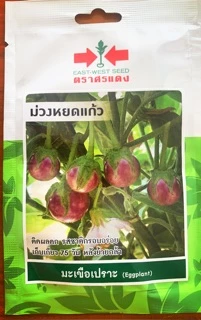 เมล็ดผักศรแดง เจียไต๋ ตะวันต้นกล้าชุดที่3 🌶🍆🍅เมล็ดพริกมะเขือ🌶🍅🍆 พริกขี้หนู พริกยอดสน พริกชี้ฟ้า พริ พริกหนุ่ม ซอง 10 บาท