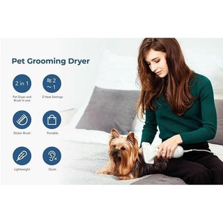 Pet grooming dryer หวีแปรงไดร์เป่าขนสัตว์เลี้ยงไฟฟ้า