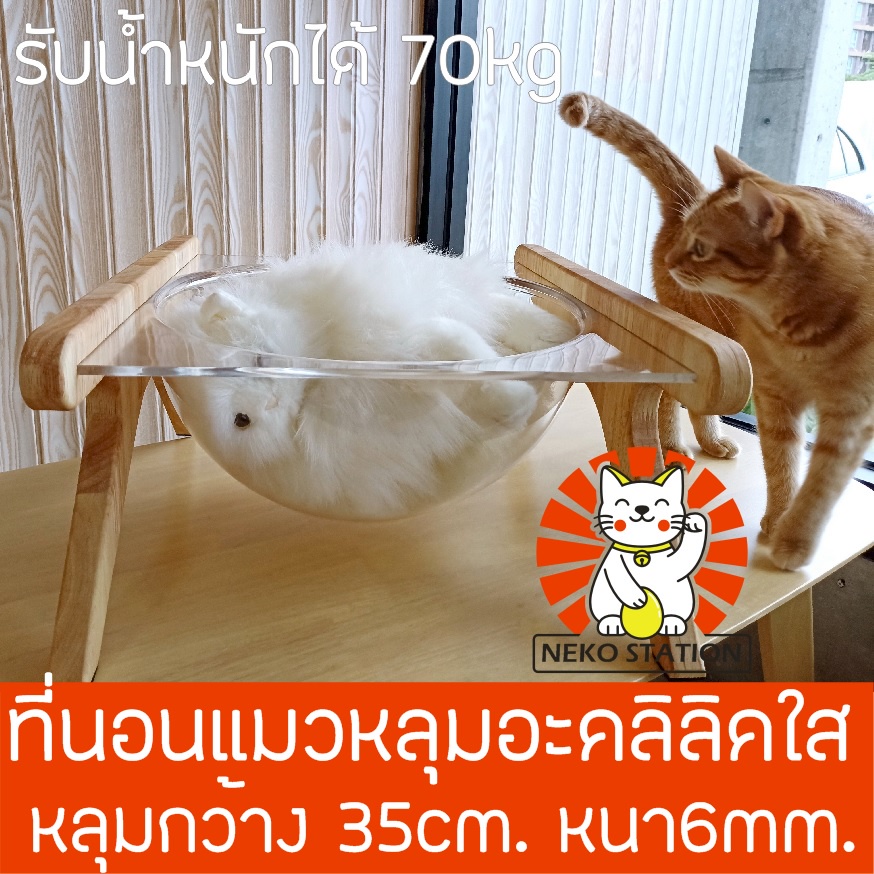 ที่นอนแมว หลุมใสอะคลีลิค หลุม 35cm. หนา 6mm รุ่น Neko02 ขาทำจากไม้แท้ บ้านแมว หลุมอวกาศแมว โดมอะคลิล