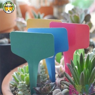 เหมียว 50pcs Pp Garden Label Hanging Waterproof Plant Tag  Label For Flower Pot