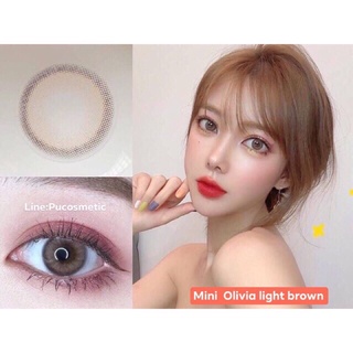 🧡Mini Olivia light brown🧡สายตาปกติถึง-5.00,-5.50,-6.00,-7.00,-7.50,-9.50(kitty kawaii)