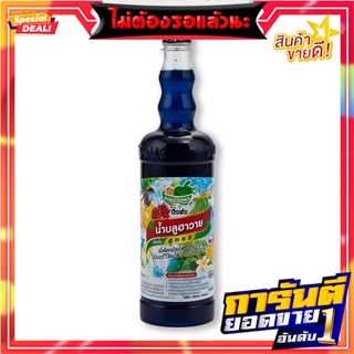 ติ่งฟง น้ำสควอช บลูฮาวาย 760 มล. x 12 ขวด Ding Fong Blue Hawai Squash 760 ml x 12 Bottles