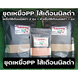 ชุดเหยื่อPP_ไส้เดือนนิลดำ (นิลดำ กินจัด) เหยื่อ+หัวเชื้อ