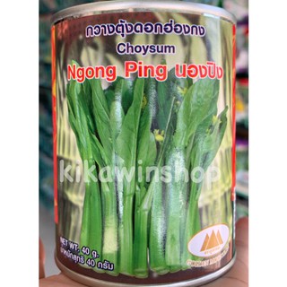 เมล็ดพันธุ์ กวางตุ้งดอกฮ่องกง นองปิง 40 กรัม