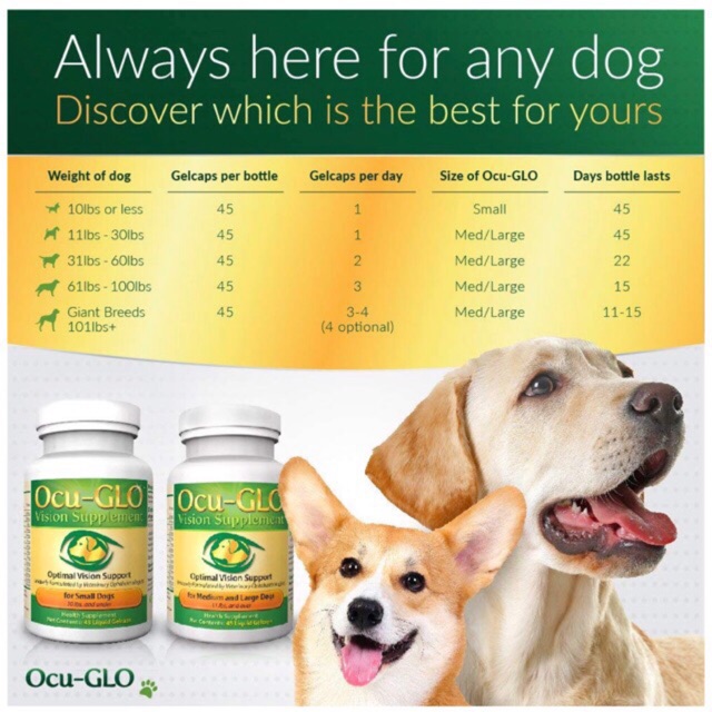 Ocu-GLO บำรุงสายตาสุนัข for MEDIUM or LARGE dogs