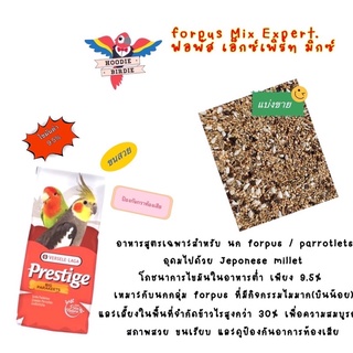 Forpus Expert อาหารธัญพืชสำหรับนกฟอพัส (แบ่งขาย)