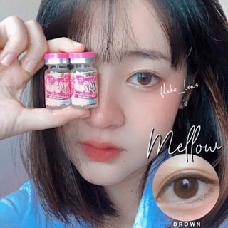 ไม่แถมตลับ Mellow Brown (มินิ) คอนแทคเลนส์ Wink