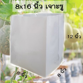 20 ใบ เนื้อหนา 8x13 8x16 นิ้ว เจาะรู ปลูกเมล่อน มะเขือเทศ ถุงเพาะชำ สีขาว ถุงปลูกเมล่อน