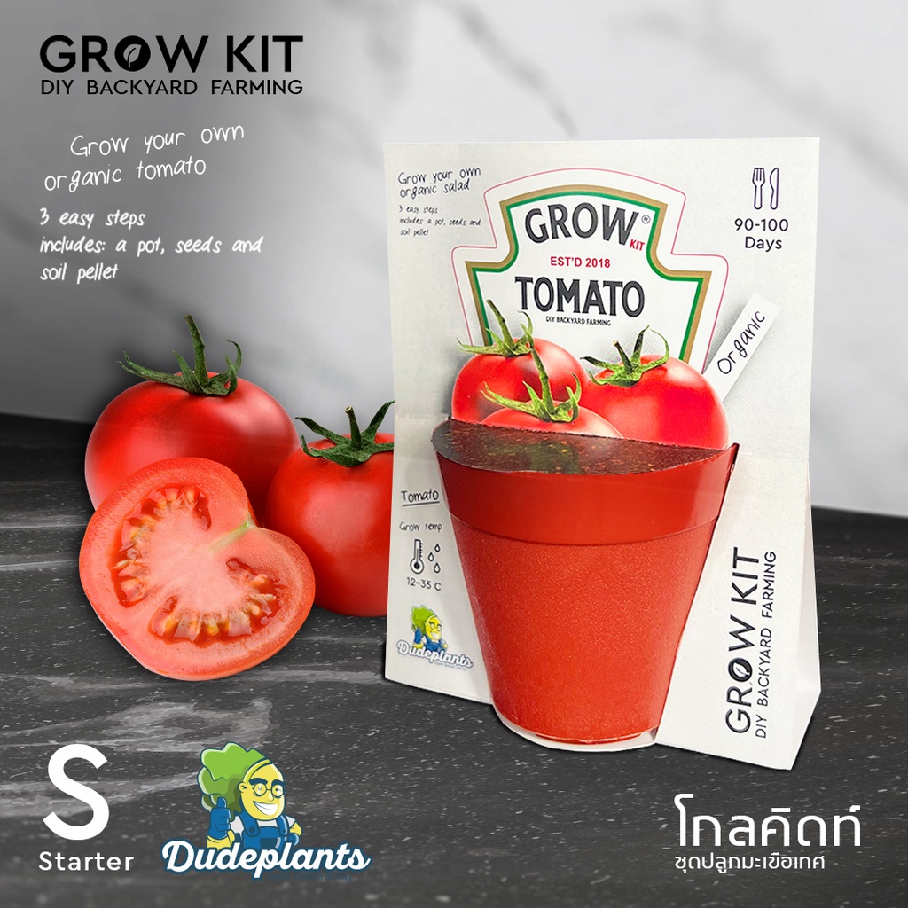ชุดปลูกมะเขือเทศ Grow kit: Tomato