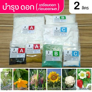 ปุ๋ย ABC Hydro Flower to Fruit สำหรับผักไฮโดรโปนิกส์ ชนิดแห้ง บำรุงดอก ชุดขนาด 2 ลิตร ( A 2 ลิตร ,B 2 ลิตร และ C 2 ลิตร)