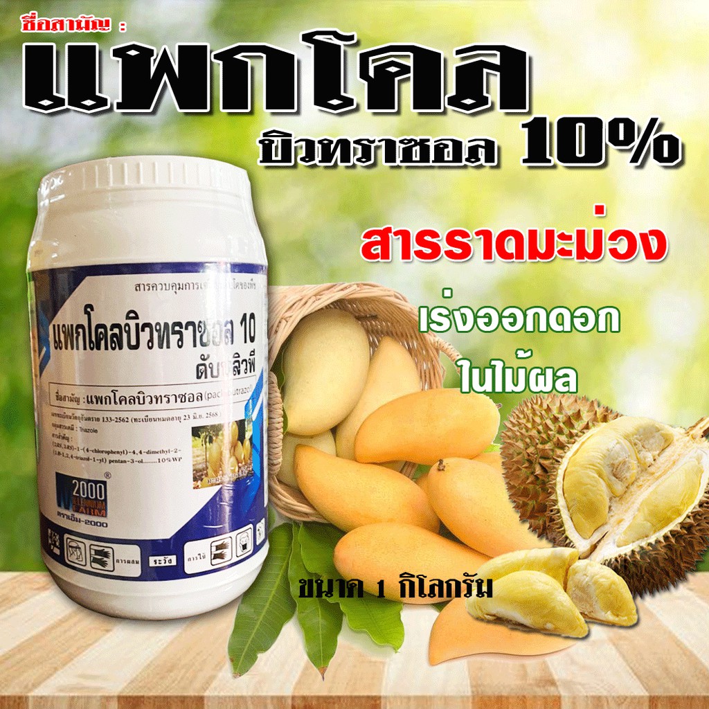 แพกโคลบิวทราซอล 10% สารราดมะม่วง บังคับให้ออกดอก การทำไม้ผลนอกฤดู เช่น ทุเรียน มะม่วง ไม้ดอก (1กิโลกรัม)