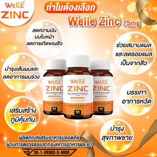 WELLE Zinc ซิงค์ (สุดคุ้ม 45 แคปซูล) เวลล์ ลดสิว ลดผิวมัน ผมร่วง บำรุงผิว บำรุงเล็บ