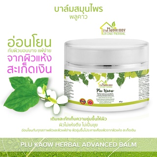 บ้านหมอละออง บาล์มสมุนไพร พลูคาว 40g บาล์ม สะเก็ดเงินใช้ได้ สารสกัดสมุนไพรโดยผู้เชี่ยวชาญ บาล์มพลูคาว แอ๊ดวานซ์ Advanced