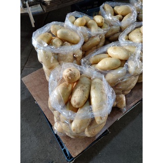 POTATOES/ POTATO 🥔 Jumbo Big Size 8 kg มันฝรั่งสด จัมโบ้