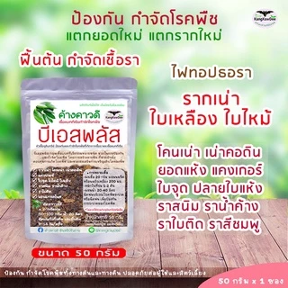 บีเอสพลัส50G กำจัดโรคเน่าทุเรียน พืชทุกชนิด เชื้อราโรคพืช รากเน่าโคนเน่า ไฟทอปธอรา ใบเหลือง ใบไหม้