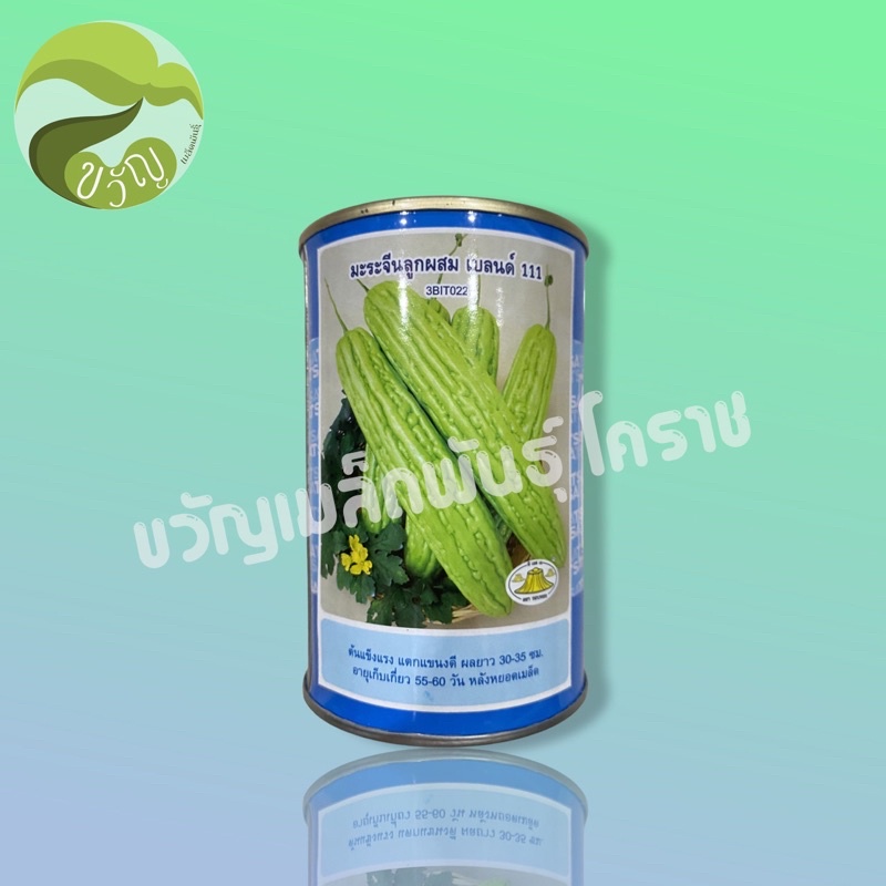 เมล็ดพันธุ์ มะระจีน ลูกผสม เบลน 111  100กรัม