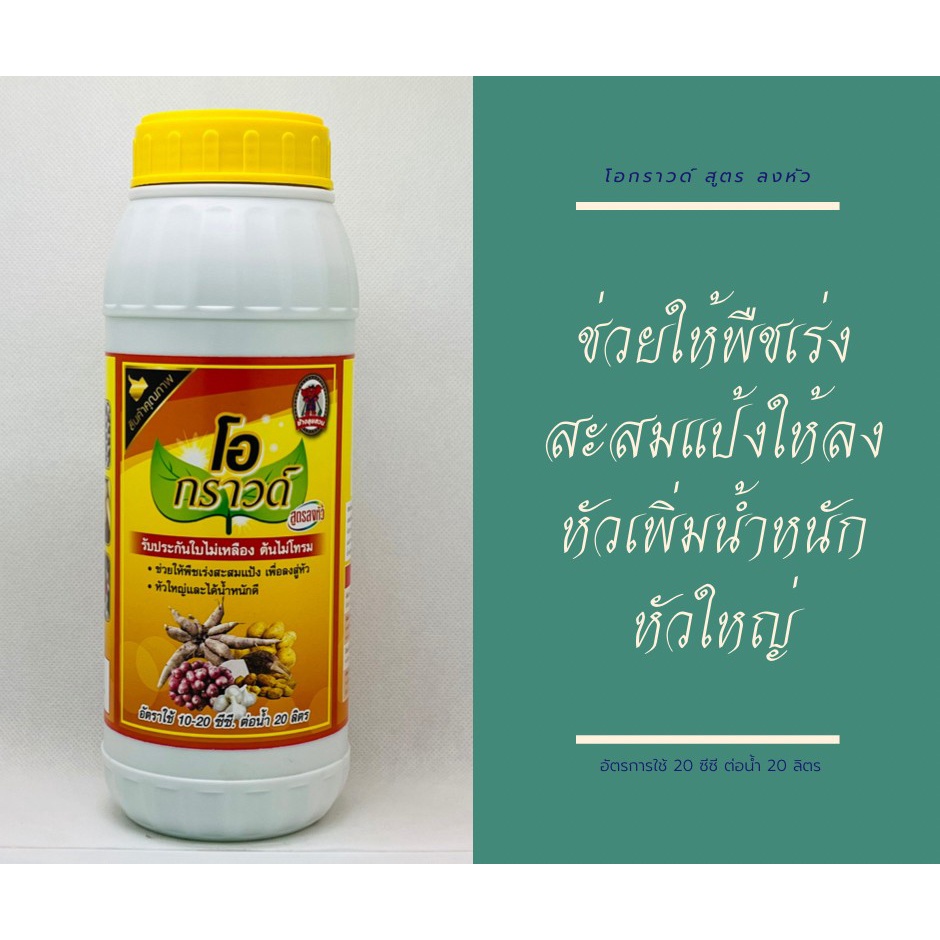 โอกราวด์ สูตร ลงหัว อาหารเสริมบำรุงพืช ฮอร์โมนสำหรับพืชลงหัว ทุกชนิดเช่น กระเทียม ถั่วลิสง มันสัมปะหลัง ขนาดบรรจุ1ลิตร