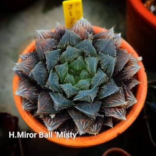 H.Miror Ball ‘Misty’ A046