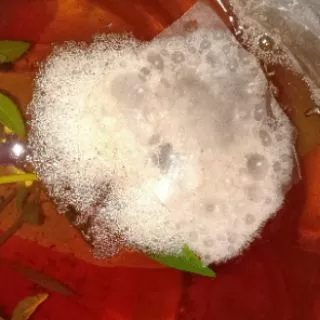น้ำหมักสีเสียดสูตรเข้มข้น สำหรับปลากัด ขนาด 600 ml