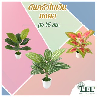 ((ต้นไม้มงคล!)) ต้นคล้าใบเงิน เสมือนจริง สูง 45 ซม. #ต้นไม้ปลอมตกแต่งบ้าน Leeartplants