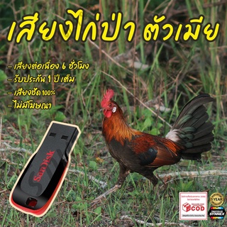 เสียงต่อ ไก่ป่าตัวเมีย ยาว6ชั่วโมง ไม่มีโฆษณา แฟลชไดร์ฟ(Flash Drive) มีเก็บเงินปลายทาง