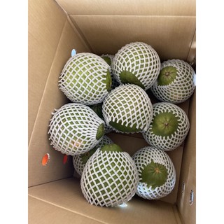 (pomelo fruit) ส้มโอทับทิมสยามน้ำหนัก1.0กล่องละ10ลูก