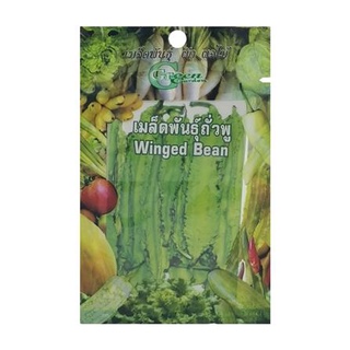 [พร้อมส่ง] HomeDoDee เมล็ดพันธุ์ถั่วพู กรีน การ์เด้น เมล็ด เมล็ดพันธุ์ เมล็ดพันธุ์พืช