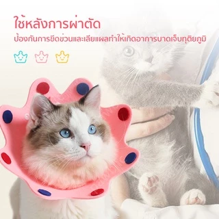 พร้อมส่ง🔥🐈ปลอกคอกันเลียแผล[มงกุฎ] 👑คอลล่าแมว🌸ลำโพงแมว คอลล่าทรงมงกุฎ สุดน่ารัก ลำโพงกันเลีย
