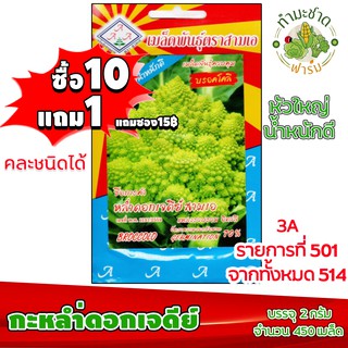 (ซื้อ10แถม1) เมล็ดพันธุ์ กะหล่ำดอก เจดีย์ Broccolo ประมาณ 450เมล็ด 3A สามเอ กะหล่ำเจดีย์ ผักสวนครัว เมล็ดพันธุ์พืช