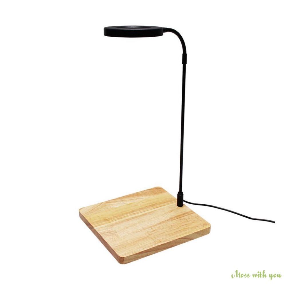 Scape Depot Bamboo Wood with LED 5W 7W