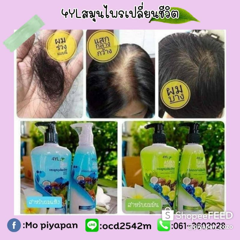แชมพูสมุนไพรไทยสูตรโบราณ4YL