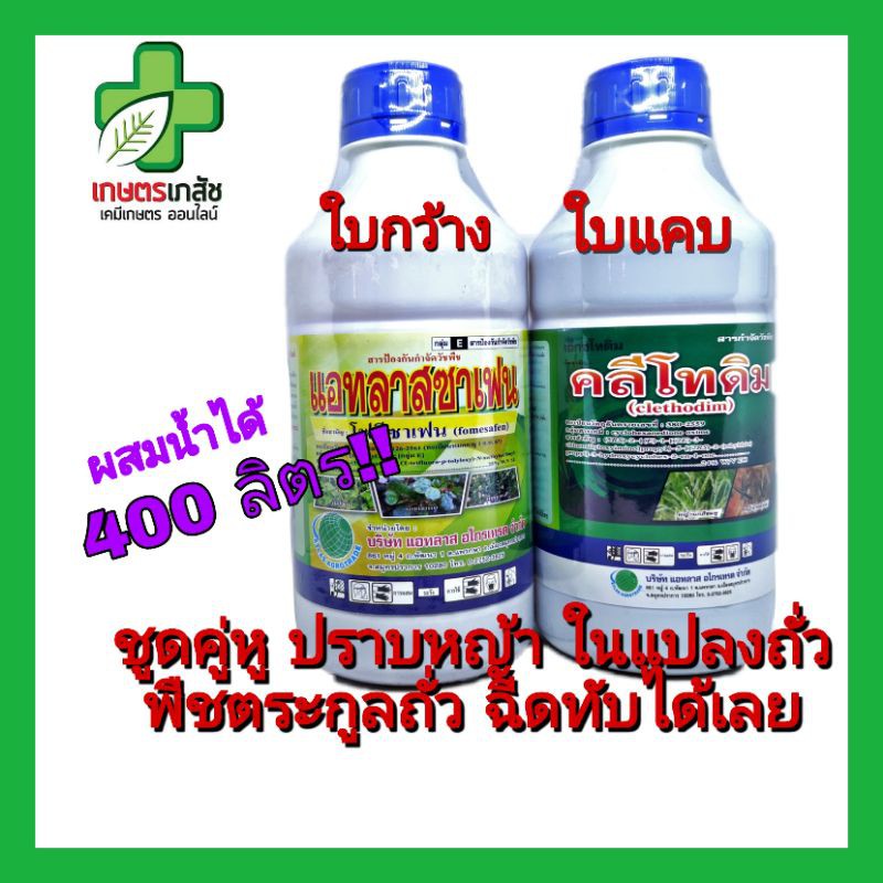 ชุดสุดคุ้ม!! ฆ่าหญ้า ในแปลงถั่ว 1ลิตร ฉีดทับได้ ใบแคบและกว้าง