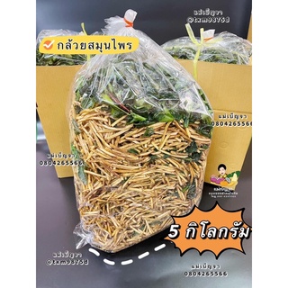 ขายส่ง กล้วยสมุนไพร ขนาด 5 กก. อร่อยเข้มนัวร์ ผงเน้นๆ