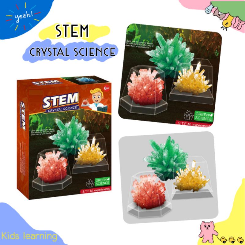 Kids learning DIY STEM ของเล่นแนววิทยาศาสตร์ Stem Crystal Science ทำคริสตัล ของเล่นทดลอง