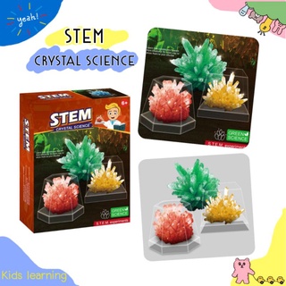 🏅Kids learning🏅DIY STEM  ของเล่นแนววิทยาศาสตร์ Stem Crystal Science ทำคริสตัล ของเล่นทดลอง