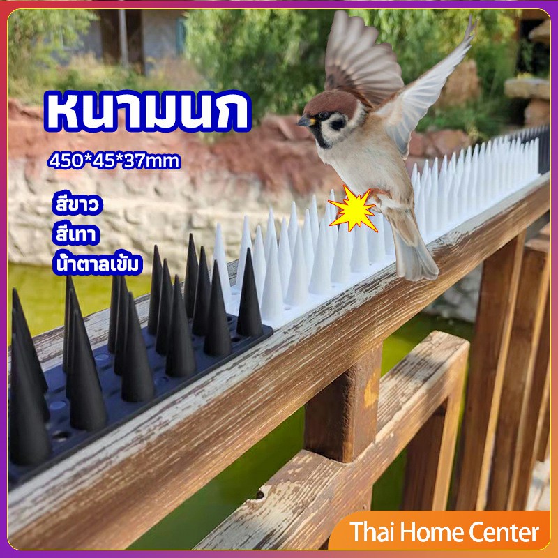 ที่กันนก หนามไล่นกพิราบ หนามกันนกเกาะ อุปกรณ์ไล่แมว bird thorn